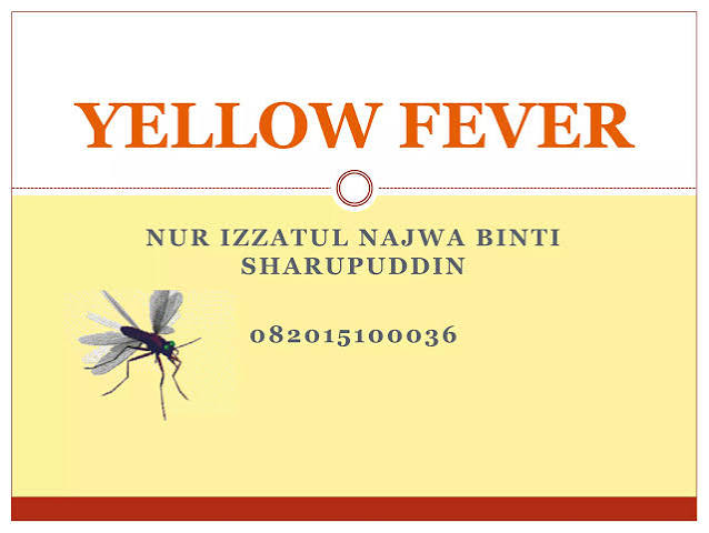 Yellow Fever 2026